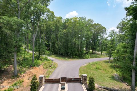 Tiny photo for 813 Clear Sail Way, Dandridge, TN 37725 (MLS # 1326604)