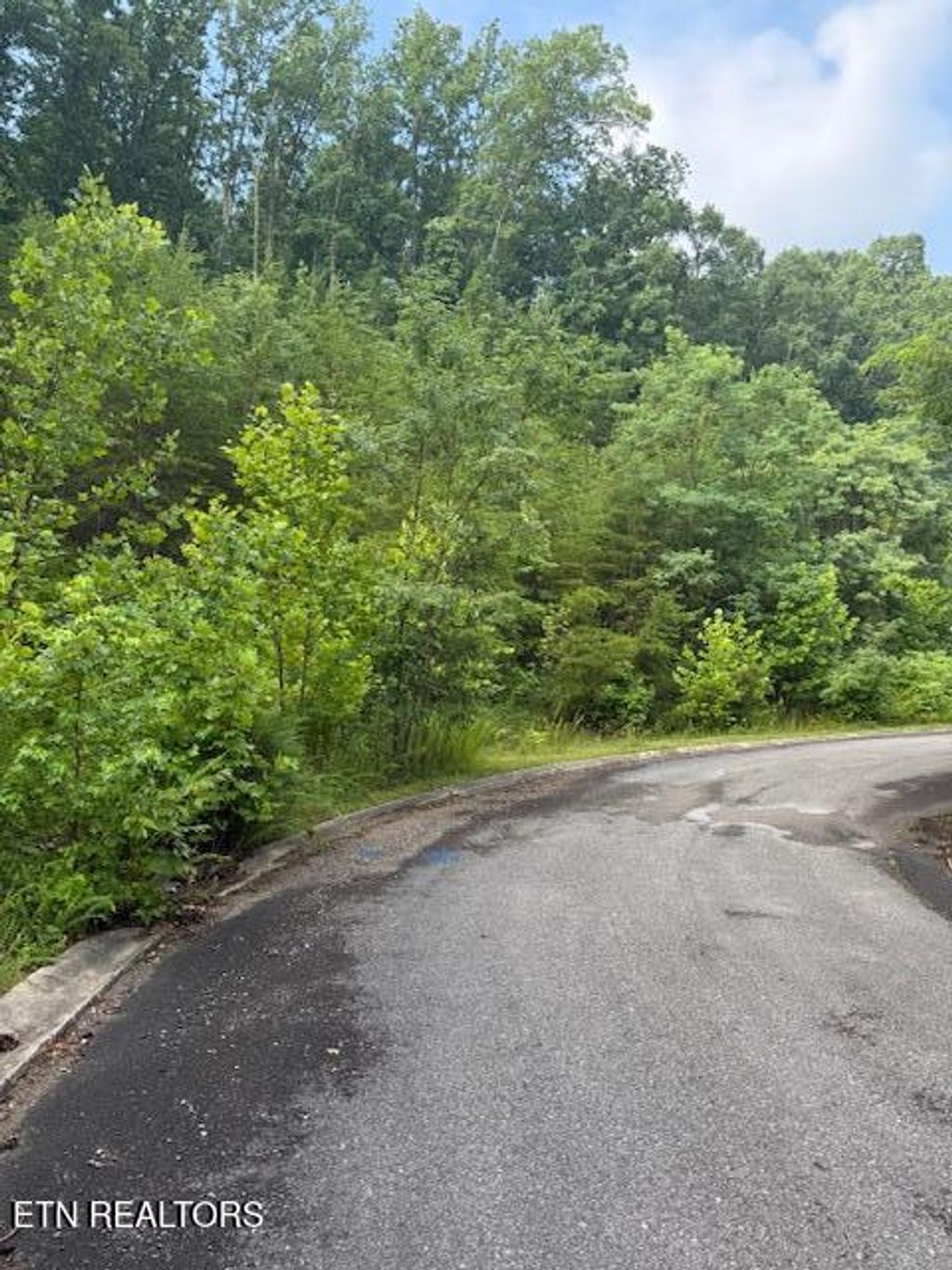Photo of 14 Woodland Creek Drive, Dandridge, TN 37725 (MLS # 1306723)