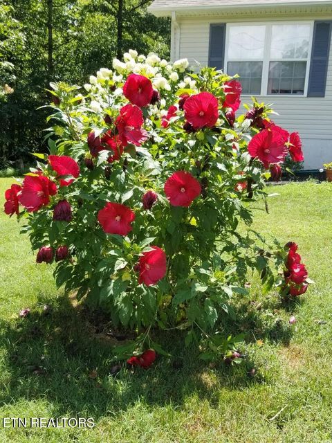 Tiny photo for 1044 Ackia Drive, Crossville, TN 38572 (MLS # 1323786)