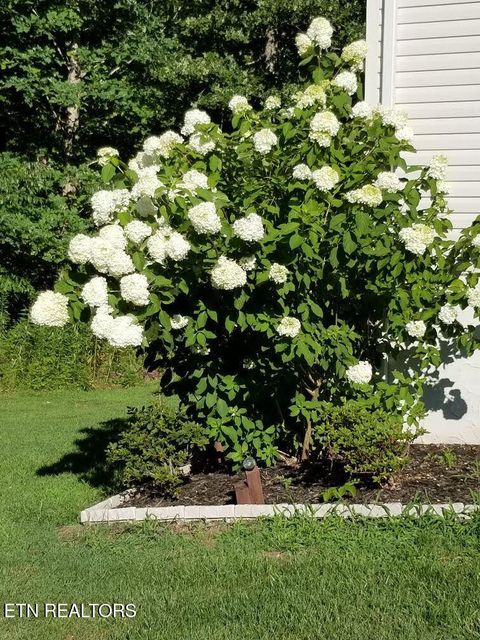 Tiny photo for 1044 Ackia Drive, Crossville, TN 38572 (MLS # 1323786)