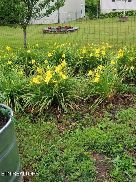 Tiny photo for 1044 Ackia Drive, Crossville, TN 38572 (MLS # 1323786)