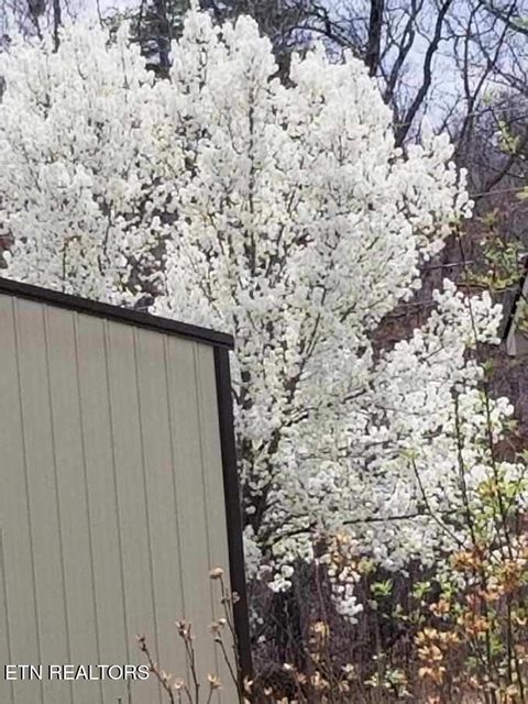 Tiny photo for 1044 Ackia Drive, Crossville, TN 38572 (MLS # 1323786)