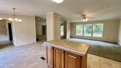Tiny photo for 1564 Locust Grove Rd, New Tazewell, TN 37825 (MLS # 1318196)