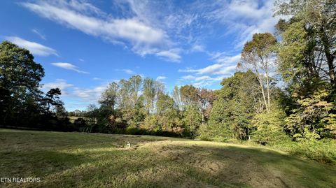 Tiny photo for 1564 Locust Grove Rd, New Tazewell, TN 37825 (MLS # 1318196)