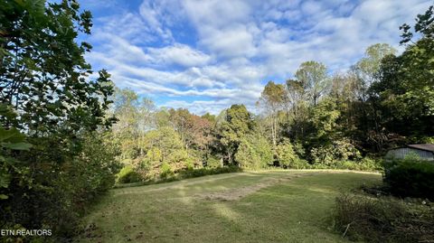 Tiny photo for 1564 Locust Grove Rd, New Tazewell, TN 37825 (MLS # 1318196)
