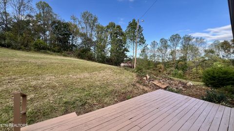 Tiny photo for 1564 Locust Grove Rd, New Tazewell, TN 37825 (MLS # 1318196)