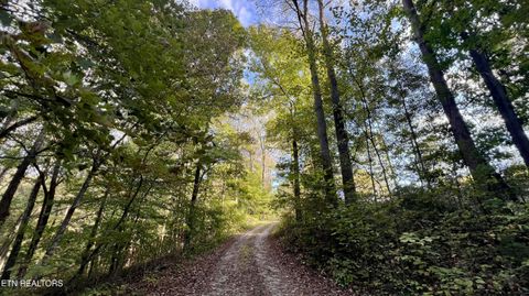 Tiny photo for 1564 Locust Grove Rd, New Tazewell, TN 37825 (MLS # 1318196)