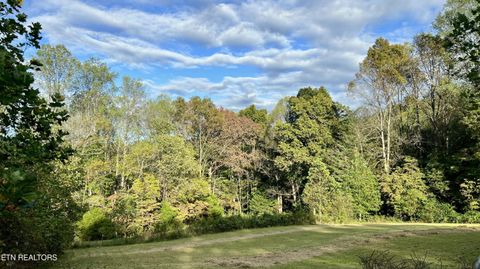 Tiny photo for 1564 Locust Grove Rd, New Tazewell, TN 37825 (MLS # 1318196)