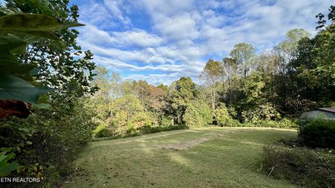 Tiny photo for 1564 Locust Grove Rd, New Tazewell, TN 37825 (MLS # 1318196)