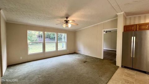 Tiny photo for 1564 Locust Grove Rd, New Tazewell, TN 37825 (MLS # 1318196)