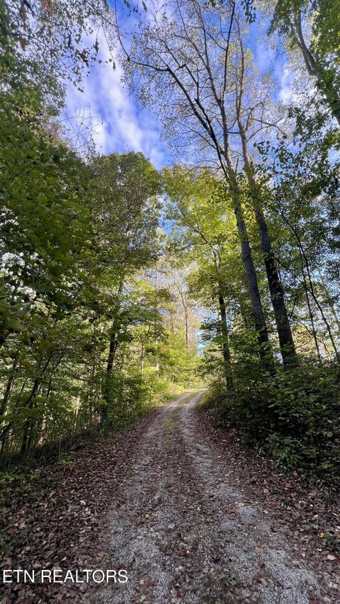 Tiny photo for 1564 Locust Grove Rd, New Tazewell, TN 37825 (MLS # 1318196)