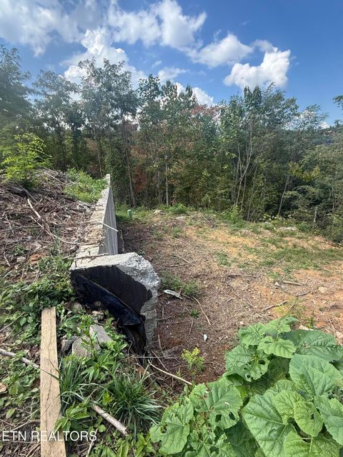 Tiny photo for 975 Cottage Gardens Way, Gatlinburg, TN 37738 (MLS # 1318493)