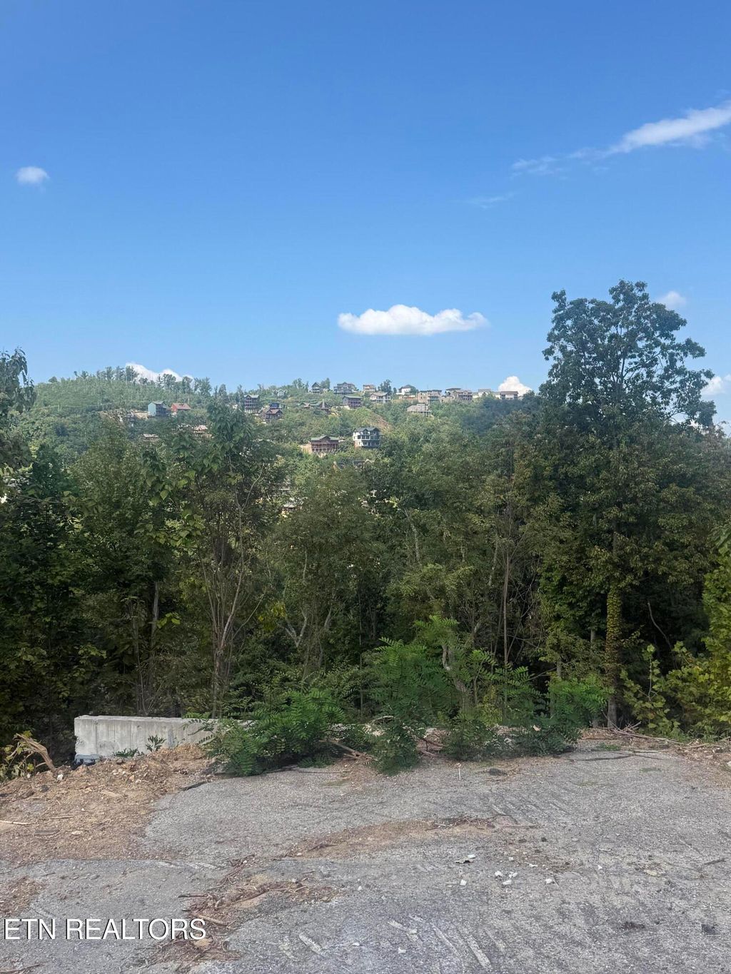 Photo of 975 Cottage Gardens Way, Gatlinburg, TN 37738 (MLS # 1318493)