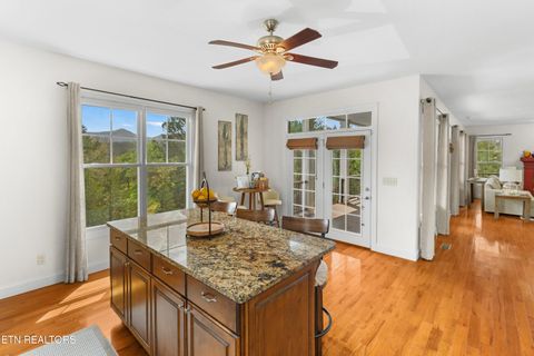 Tiny photo for 2017 Paradise Hills Rd, Dandridge, TN 37725 (MLS # 1335141)