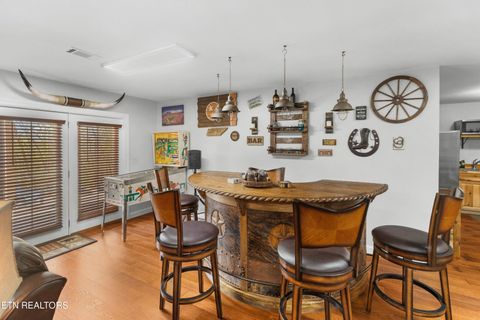 Tiny photo for 2017 Paradise Hills Rd, Dandridge, TN 37725 (MLS # 1335141)