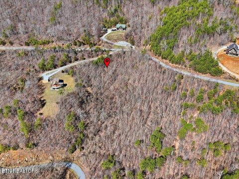 Tiny photo for 717 Whistle Valley Rd, New Tazewell, TN 37825 (MLS # 1330609)