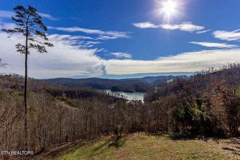 Tiny photo for 717 Whistle Valley Rd, New Tazewell, TN 37825 (MLS # 1330609)