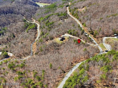 Tiny photo for 717 Whistle Valley Rd, New Tazewell, TN 37825 (MLS # 1330609)