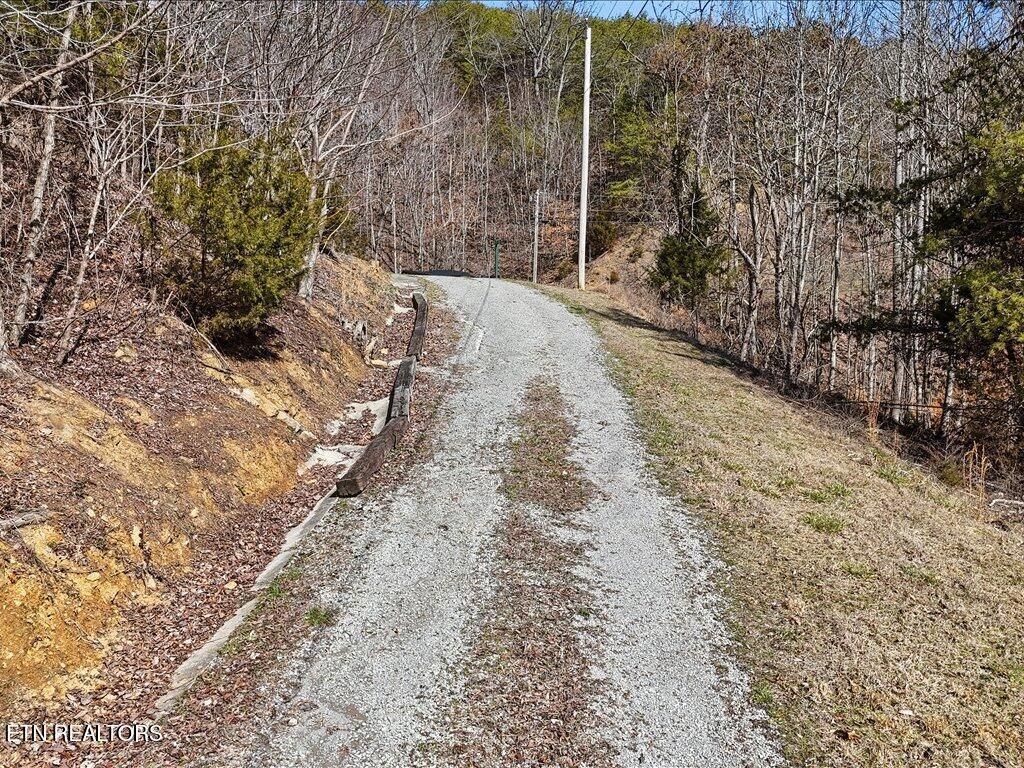 Photo of 717 Whistle Valley Rd, New Tazewell, TN 37825 (MLS # 1330609)