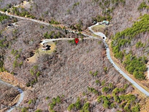 Tiny photo for 717 Whistle Valley Rd, New Tazewell, TN 37825 (MLS # 1330609)