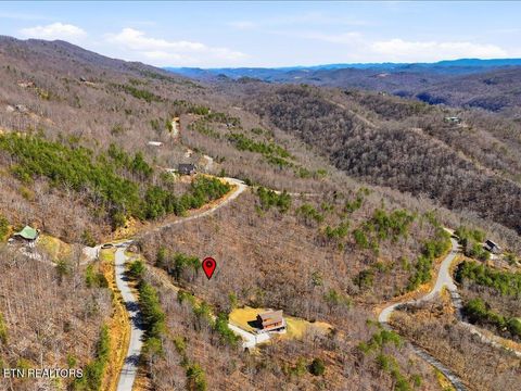 Tiny photo for 717 Whistle Valley Rd, New Tazewell, TN 37825 (MLS # 1330609)