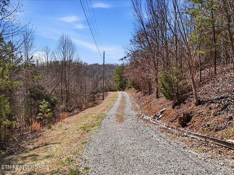 Tiny photo for 717 Whistle Valley Rd, New Tazewell, TN 37825 (MLS # 1330609)
