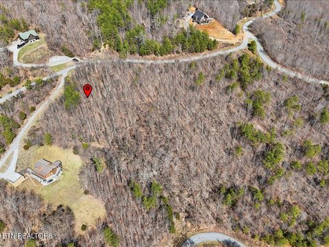 Tiny photo for 717 Whistle Valley Rd, New Tazewell, TN 37825 (MLS # 1330609)