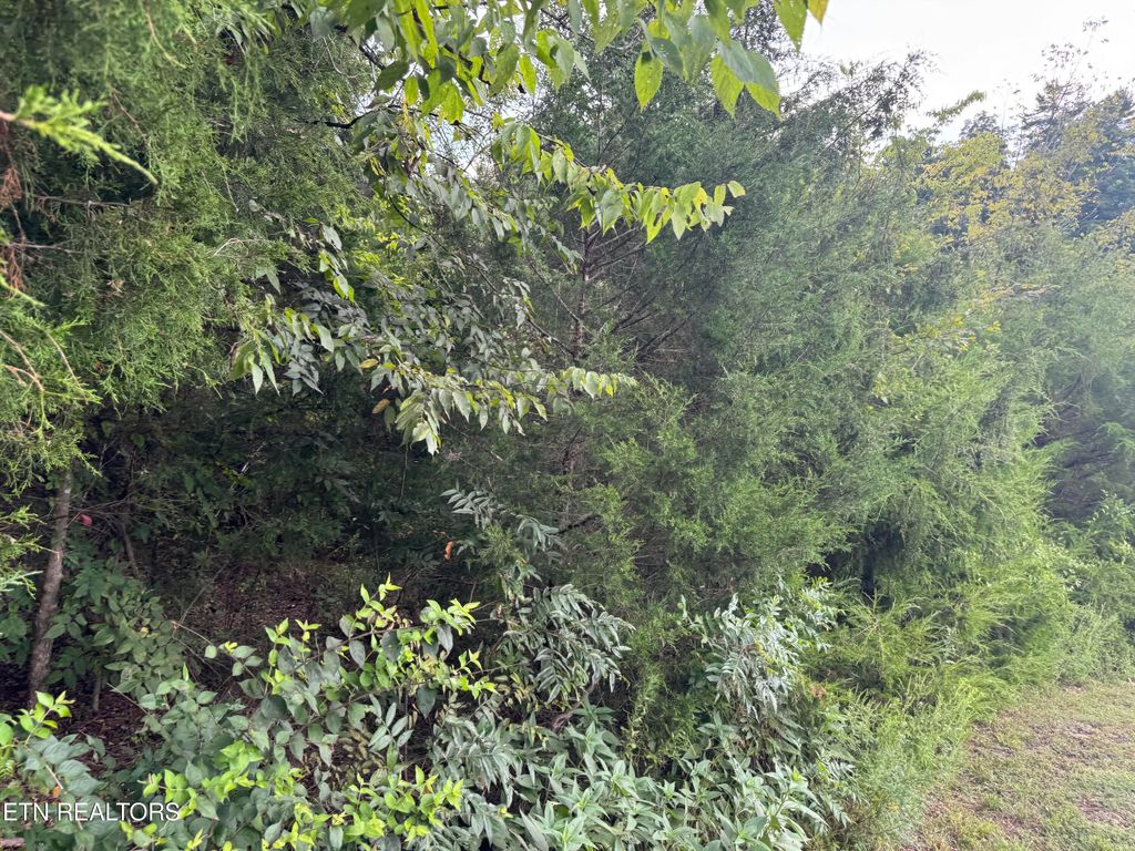 Photo of Eagle Feather Drive, Sevierville, TN 37876 (MLS # 1314934)