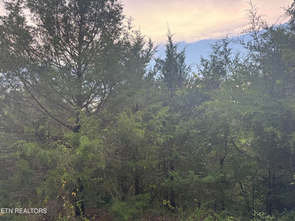 Photo of Eagle Feather Drive, Sevierville, TN 37876 (MLS # 1314934)