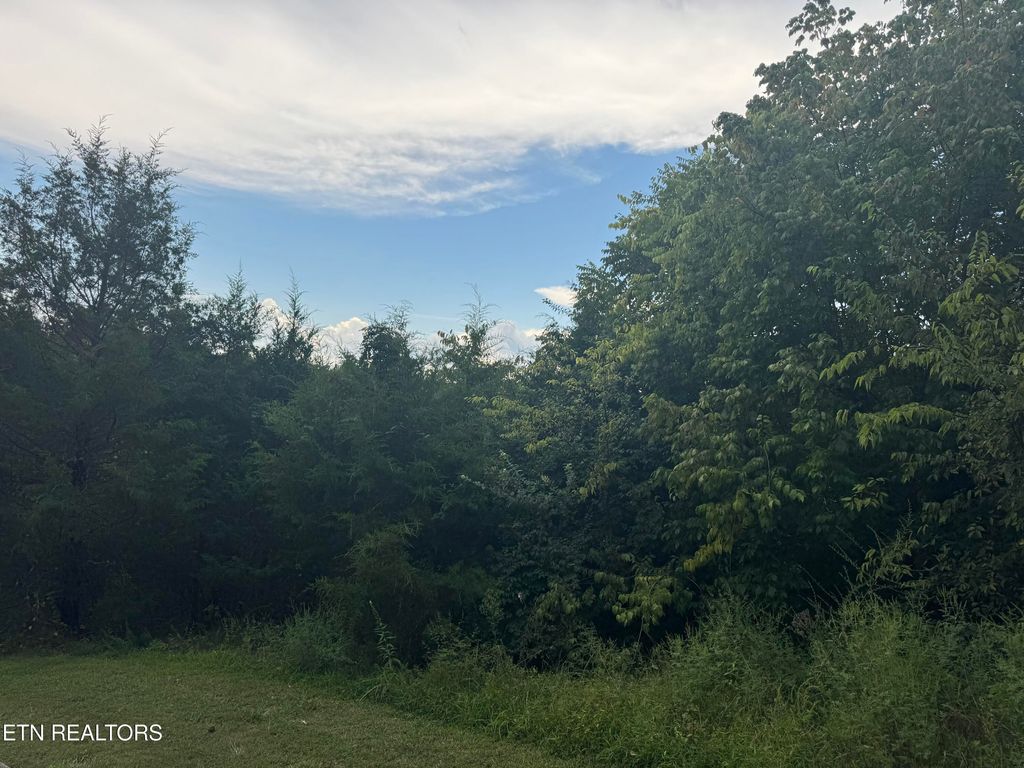 Photo of Eagle Feather Drive, Sevierville, TN 37876 (MLS # 1314934)