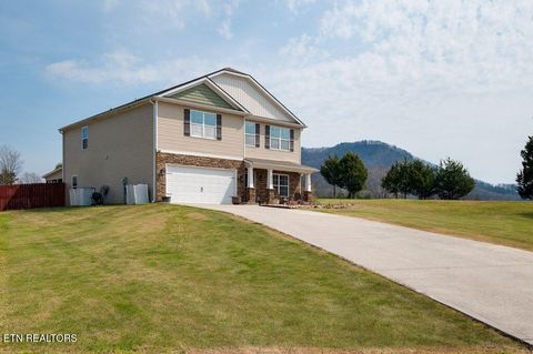 8259 Horseshoe Mesa Tr Corryton TN 37721
