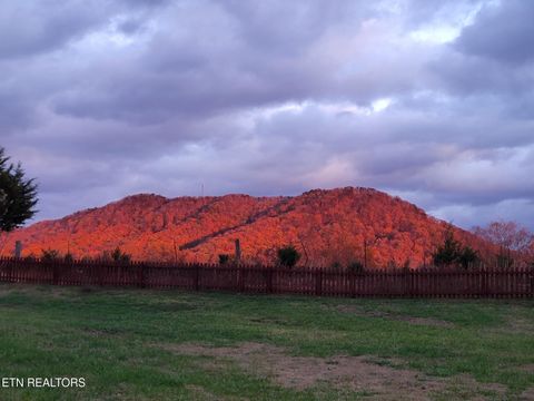 Tiny photo for 8259 Horseshoe Mesa Tr, Corryton, TN 37721 (MLS # 1328091)