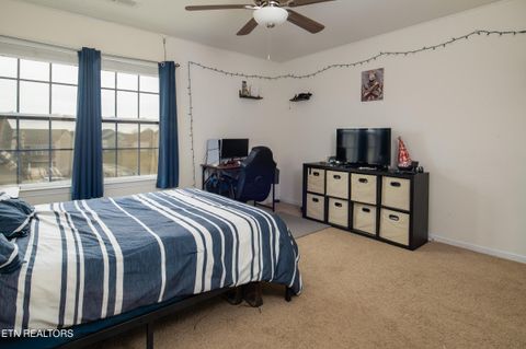 Tiny photo for 8259 Horseshoe Mesa Tr, Corryton, TN 37721 (MLS # 1328091)