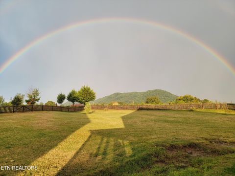 Tiny photo for 8259 Horseshoe Mesa Tr, Corryton, TN 37721 (MLS # 1328091)