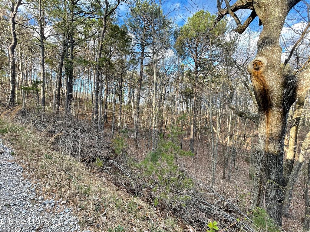 Photo of 254 Smithfield Harold Witt, Tellico Plains, TN 37385 (MLS # 1256776)