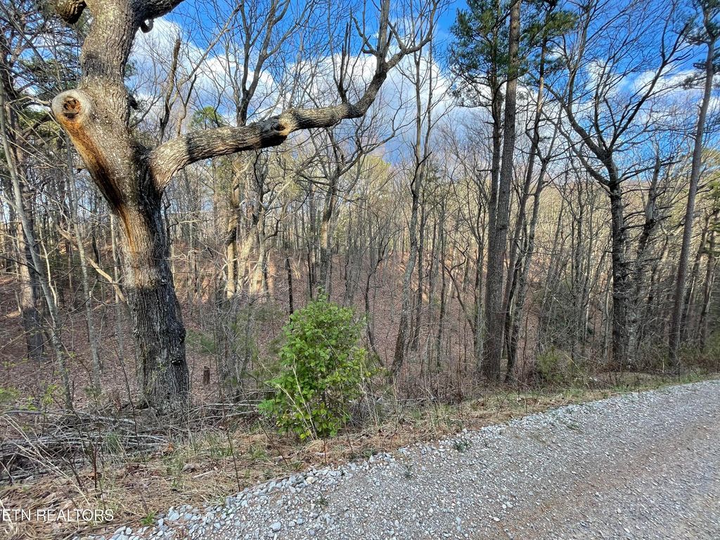 Photo of 254 Smithfield Harold Witt, Tellico Plains, TN 37385 (MLS # 1256776)