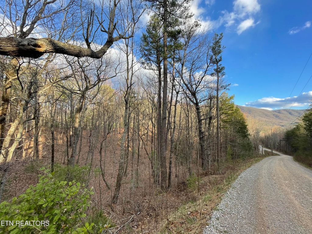 Photo of 254 Smithfield Harold Witt, Tellico Plains, TN 37385 (MLS # 1256776)