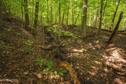 Tiny photo for Watson Hollow Rd, Speedwell, TN 37870 (MLS # 1354884)