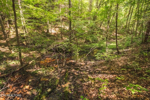 Tiny photo for Watson Hollow Rd, Speedwell, TN 37870 (MLS # 1354884)