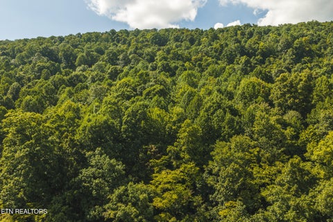 Tiny photo for Watson Hollow Rd, Speedwell, TN 37870 (MLS # 1354884)