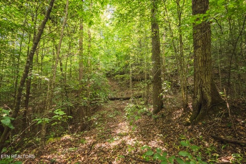 Tiny photo for Watson Hollow Rd, Speedwell, TN 37870 (MLS # 1354884)