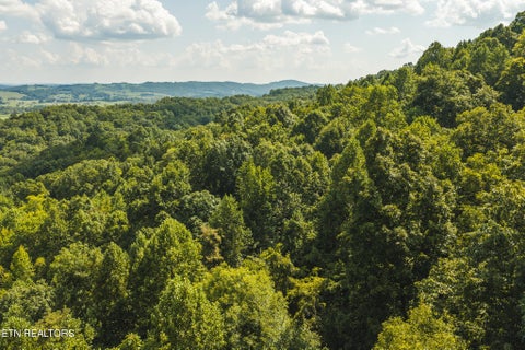 Tiny photo for Watson Hollow Rd, Speedwell, TN 37870 (MLS # 1354884)