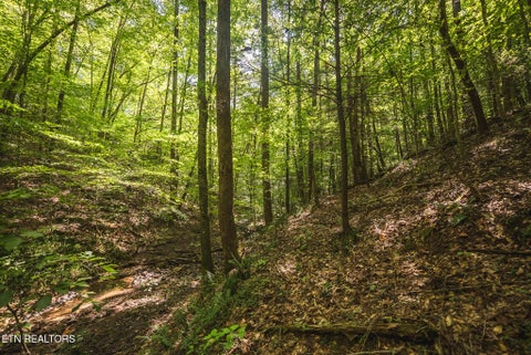 Tiny photo for Watson Hollow Rd, Speedwell, TN 37870 (MLS # 1354884)