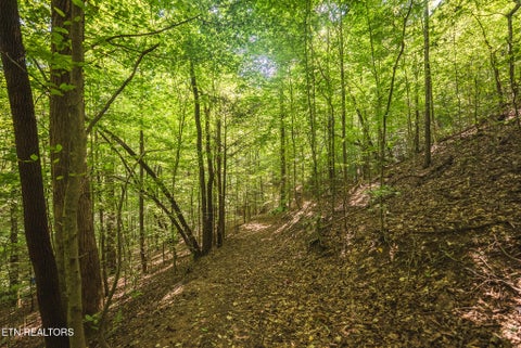 Tiny photo for Watson Hollow Rd, Speedwell, TN 37870 (MLS # 1354884)