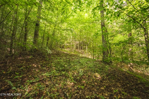 Tiny photo for Watson Hollow Rd, Speedwell, TN 37870 (MLS # 1354884)