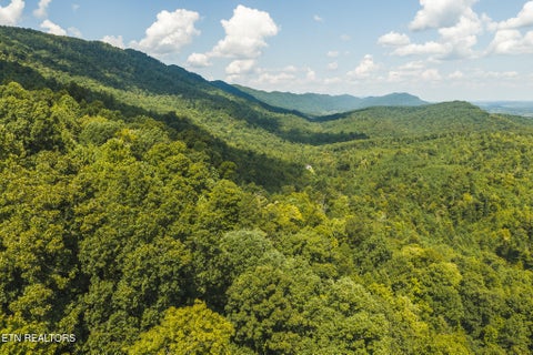 Tiny photo for Watson Hollow Rd, Speedwell, TN 37870 (MLS # 1354884)