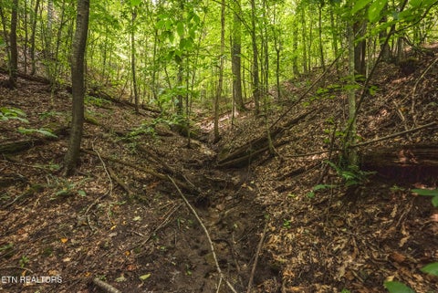 Tiny photo for Watson Hollow Rd, Speedwell, TN 37870 (MLS # 1354884)
