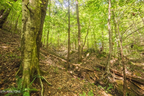 Tiny photo for Watson Hollow Rd, Speedwell, TN 37870 (MLS # 1354884)