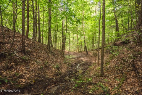 Tiny photo for Watson Hollow Rd, Speedwell, TN 37870 (MLS # 1354884)
