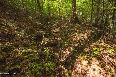 Tiny photo for Watson Hollow Rd, Speedwell, TN 37870 (MLS # 1354884)